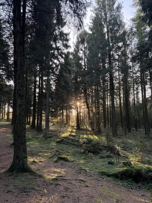 Velkommen til NewDisc