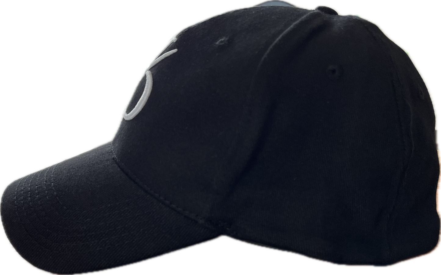 NewDisc fit cap