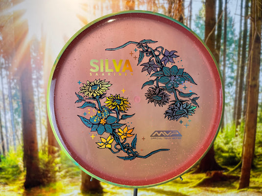 Particle Proton Proxy - Silva<br>3 | 3 | -1 | 0,5